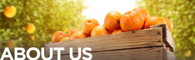 about-header