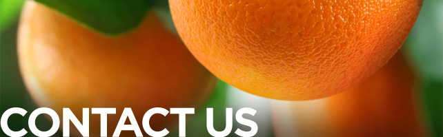 dontact-us